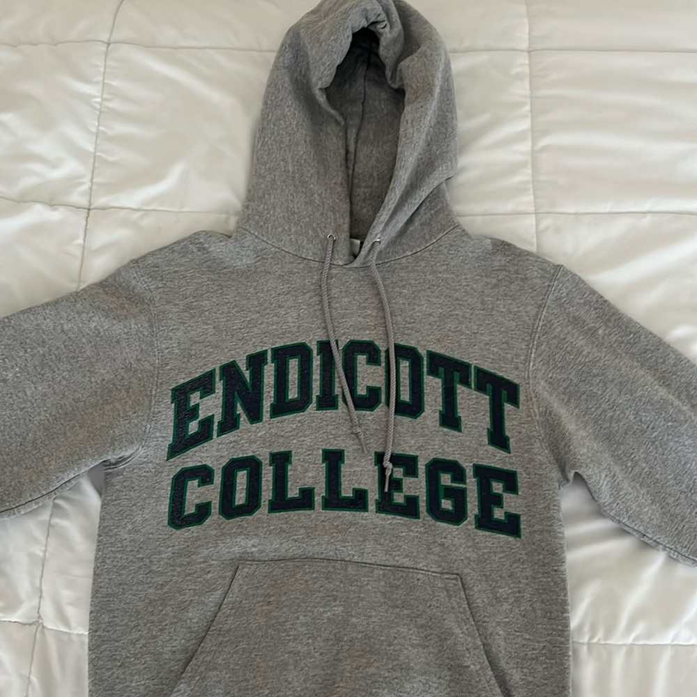ENDICOTT COLLEGE CHAMPION HOODIE